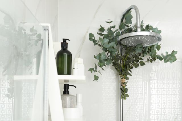 Essa planta não precisa de água nunca, não é artificial e ainda perfuma seu banheiro