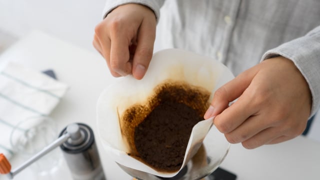 Da limpeza às plantas: 5 dicas do TudoGostoso para reaproveitar a borra de café em casa