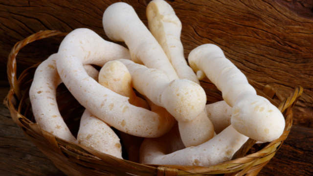 Biscoito de polvilho assado fácil (Créditos: TudoGostoso)