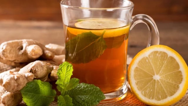 Essa raiz poderosa pode ser usada para fazer um chá delicioso (Créditos: Shutterstock)