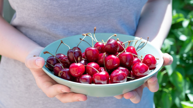 A cereja contribui para a produção de melatonina, hormônio importante para uma boa noite de sono. (créditos: Shutterstock)
