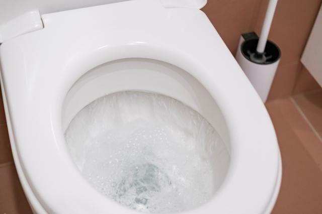 O maior debate dos banheiros foi solucionado: deve-se dar descarga no vaso sanitário com a tampa aberta ou fechada?