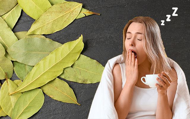 Folha de louro para dormir melhor: truque muito simples que aprendi com a minha avó, funciona muito!