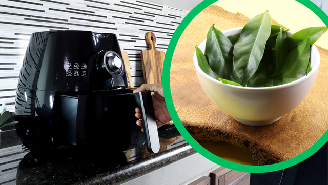 Farinha de Ora-pro-nóbis na airfryer: ingrediente perfeito para receitas de pães, bolos e doces nutritivos