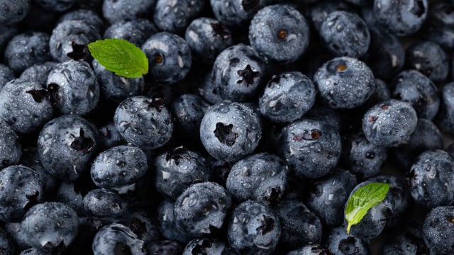 Com essas dicas você pode ter mirtilo no seu quintal e fazer receitas deliciosas (Créditos: Magnific)