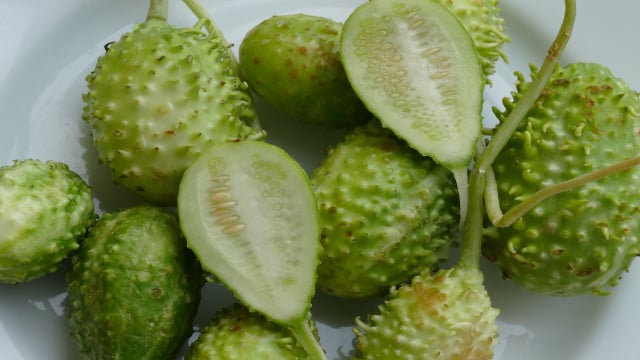 Variedade e nutrição no prato com ingredientes acessíveis que fortalecem o organismo e diversificam a dieta diária. (Foto: Shutterstock)