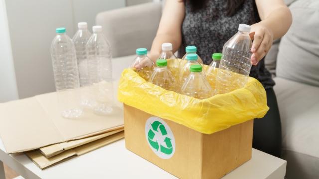 Se você tem garrafas de plástico em casa, você tem um tesouro: 5 maneiras de reaproveitar esse material