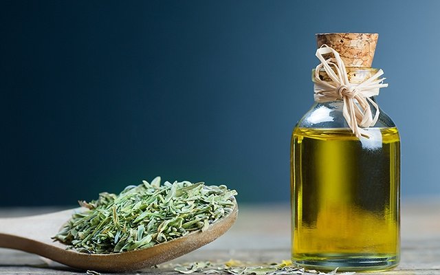Óleo de orégano: para que serve, como tomar e por que ele é tão queridinho da saúde natural