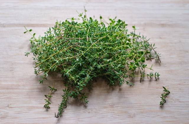 No chá ou no tempero: tomilho é uma plantinha cheia de benefícios para a saúde, veja como consumir