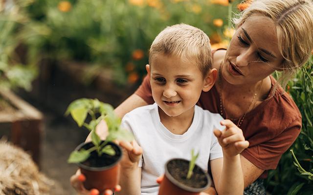 As plantas que você deve cultivar em outubro de acordo com cada região do país