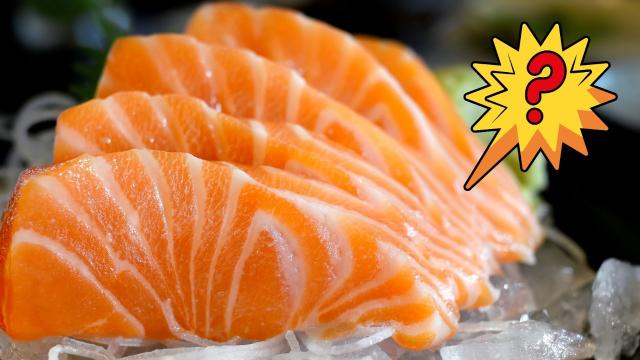 Você está comendo salmão de verdade ou está sendo enganado? Vem entender a polêmica!