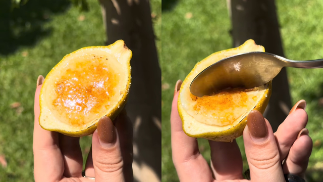 Mousse de limão-siciliano na casca: o jeito mais charmoso e fácil de preparar a sobremesa
