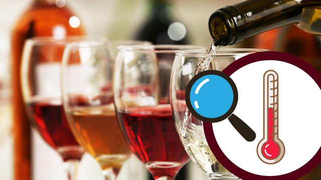 A maioria faz errado: saiba qual é temperatura correta de servir cada vinho