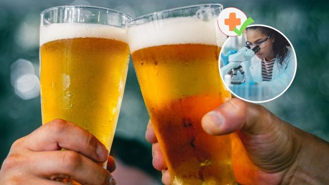 Cerveja fonte de nutrientes: veja o que novo estudo afirma sobre benefícios da bebida alcoólica