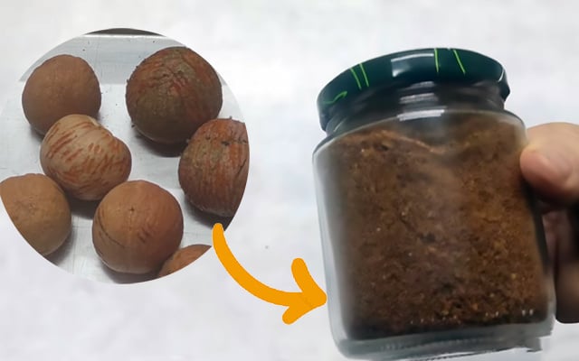 Farinha de caroço de abacate: como fazer em casa esse ingrediente caro e pouco conhecido