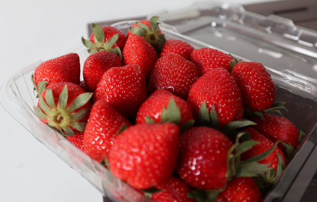 Uma loja se recusou a comprar morangos danificados pelo granizo - a empresária resolveu vender na internet e o negócio fez sucesso