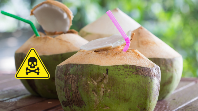 Se você guardar o coco assim, sua vida pode estar em risco: homem morre após cometer este erro e consumir a fruta