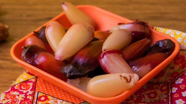 Essa receita de pinhão na pressão só precisa de três ingredientes para ser a atração da Festa Junina vegana (Créditos: TudoGostoso)