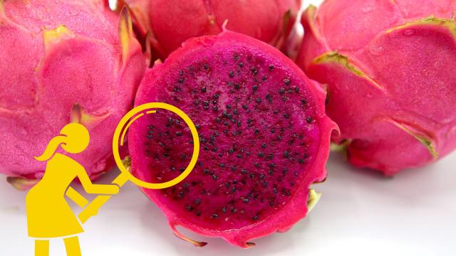 Esse benefício secreto da pitaya (que poucos sabem!) é muito bom pra saúde