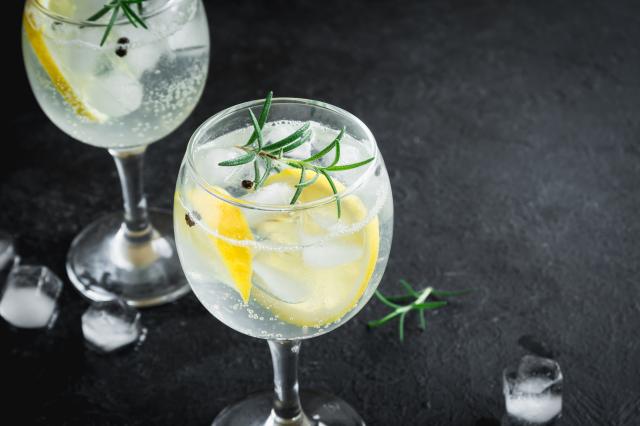 Gin tônica é o drink perfeito para o signo de Capricórnio (Créditos: Shutterstock)