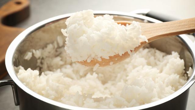 Você tem costume de requentar o arroz? Esse hábito pode trazer riscos para a sua saúde, mas é possível se manter seguro se fizer assim