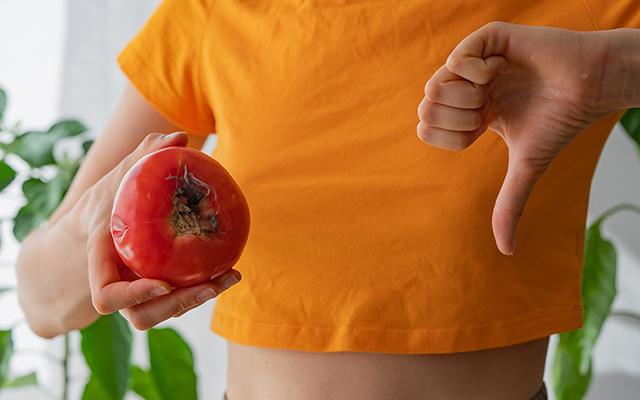Nem todo mundo sabe, mas este é o melhor lugar para armazenar tomate e evitar que apodreçam
