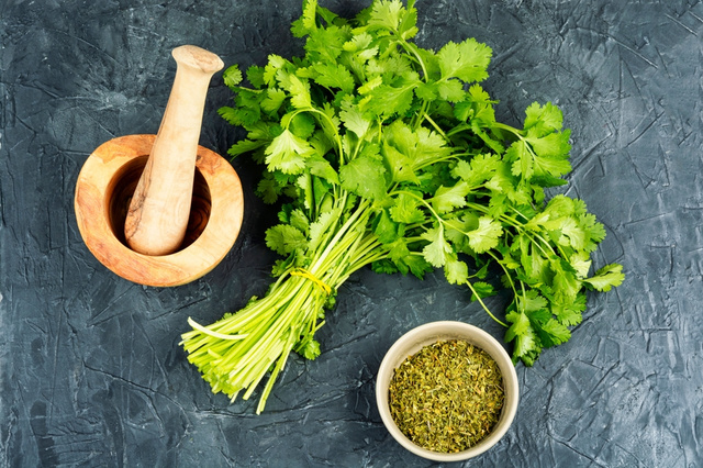 Frescas ou secas: como escolher as ervas aromáticas certas para dar mais sabor às sua receitas