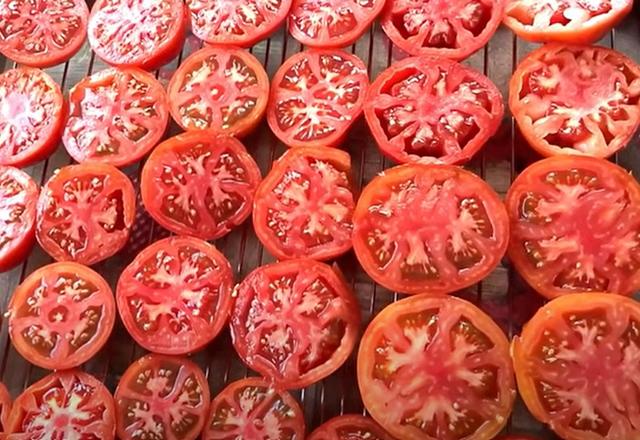 Coloque os tomates cortados sobre uma tela ou uma grade com um recipiente ou bandeja por baixo (Reprodução Youtube)
