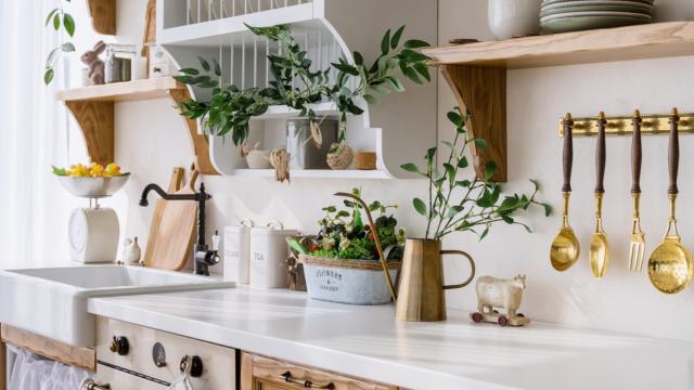 Segundo o Feng Shui, essas são as plantas que vão trazer harmonia para a sua cozinha!