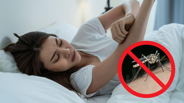 Muito calor e mais mosquitos: veja como fazer repelente natural de acordo com farmacêutico
