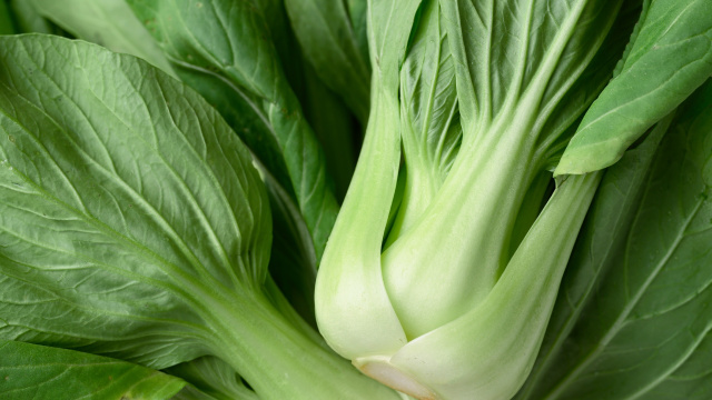 O vegetal rico em cálcio e vitamina K: recomendado para pessoas com mais de 60 anos, mas pouco conhecido