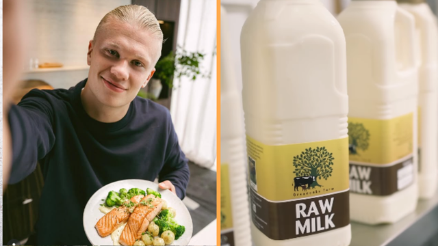 Leite cru, coração bovino e vísceras: a dieta natural que ajuda Erling Haaland a manter a forma dentro e fora de campo