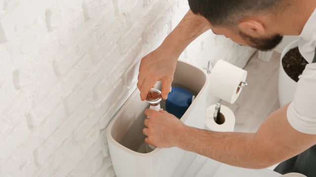Colocar uma garrafa de plástico no reservatório da privada: para que serve e por que os encanadores experientes recomendam