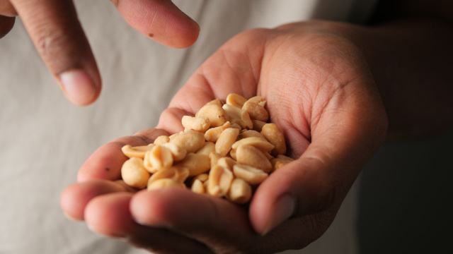 Um lanche diário comum entre os brasileiros pode contribuir para uma melhor memória no futuro: ele é encontrado com facilidade