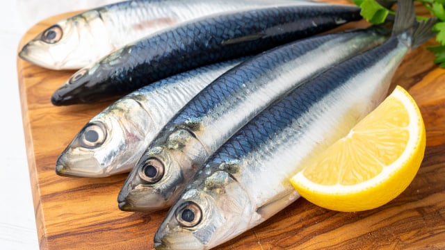 Gosta de sardinha fresca? Essas são as 5 dicas para escolher bem na feira e ter receitas mais saborosas