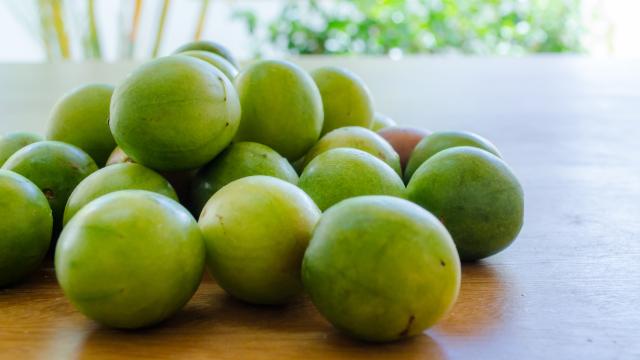 Nem jabuticaba, nem açaí: essa é a fruta nativa do Brasil que poucos conhecem, mas é uma ótima fonte de energia e ajuda a controlar o peso