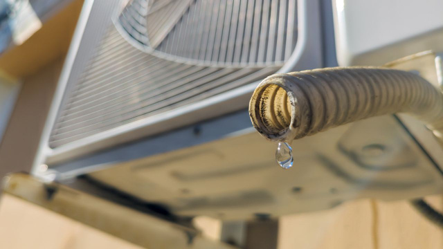 Não jogue fora a água que pinga do ar-condicionado: veja como reaproveitar (Créditos: Shutterstock)