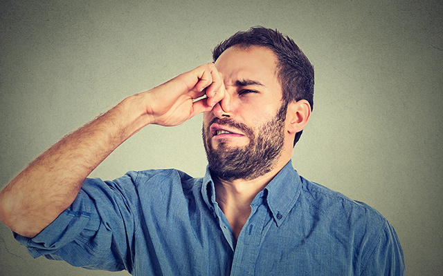 Soltar pum queima caloria? Descubra a resposta de uma das perguntas mais estranhas feita ao Google com frequência no Brasil