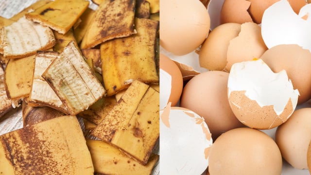 Misturar cascas de banana e ovo: por que é recomendado e para que serve