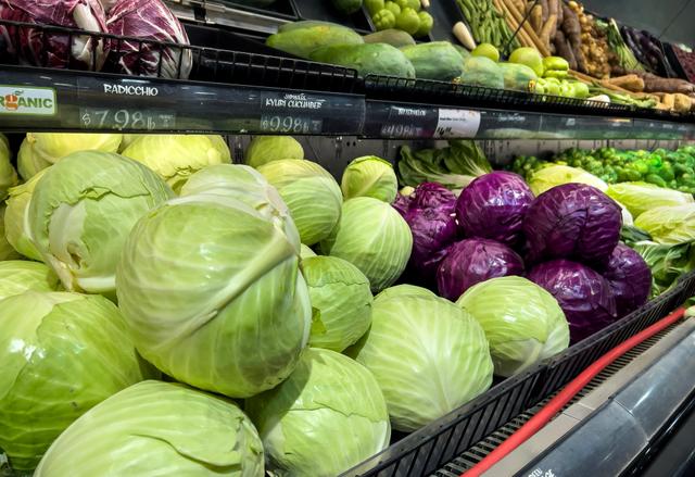 Guia do repolho: como comprar, conservar e consumir a hortaliça