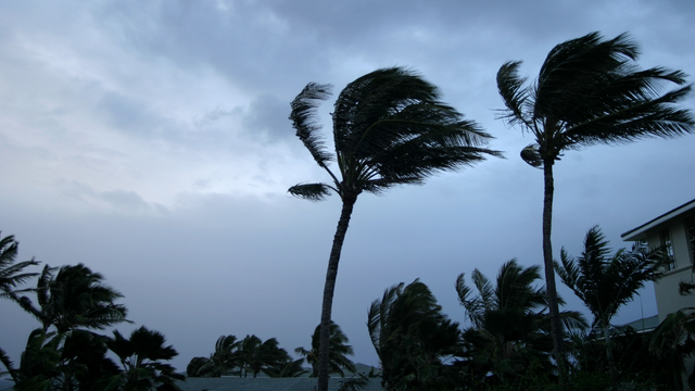 Especialistas em meteorologia alertam: não faça isso em caso de ventos fortes e veja como manter a casa segura