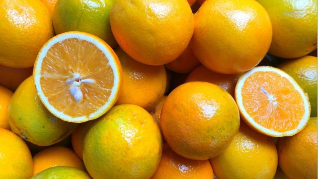 Laranja cara não é culpa das mudanças climáticas! Veja qual é o motivo e como substituir a fruta na alimentação