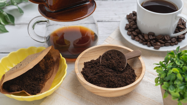 Cientistas acharam um jeito surpreendente de usar as sobras de grãos de café, que descoberta empolgante!