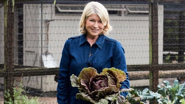 Martha Stewart, aos 84 anos: "Caminho bastante, três vezes por semana faço sessões de pilates de 45 minutos e duas vezes por semana uso halteres e aparelhos. Uso praticamente os mesmos pesos de sempre, então estou muito forte"