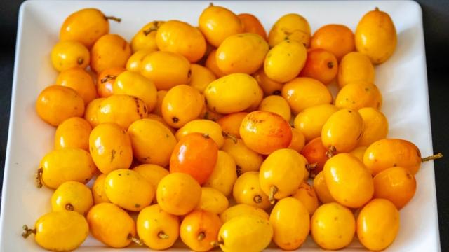 Seriguela é uma fruta brasileira repleta de benefícios para a digestão, coração e sistema imunológico