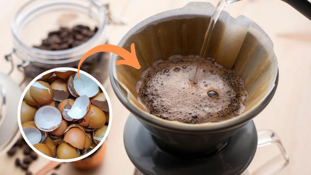 Jogue cascas de ovos no pó do café de filtro e veja a mágica acontecer no sabor e benefícios da bebida