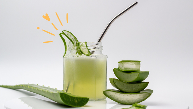 Como fazer suco de babosa e descubra se você está apto a tomar a bebida hidratante que poupa o fígado e deixa pele e cabelos mais bonitos