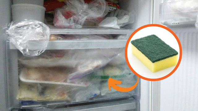 Coloquei uma esponja de cozinha no congelador e não conseguia parar de pensar que...