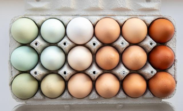 As calorias do ovo variam de acordo com a cor da casca? Aqui está a resposta da nutricionista