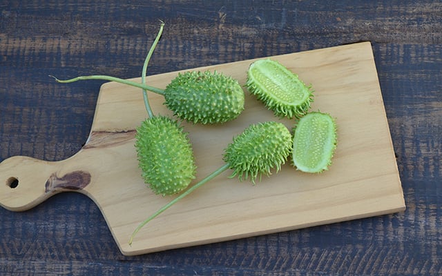 Quase ninguém liga para maxixe, mas você vai querer provar essas 5 receitas deliciosas e fáceis de fazer